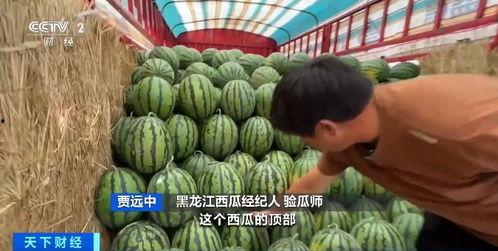 美博会吃瓜,吃瓜群众揭秘美容行业幕后风云