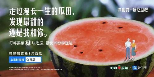 到处吃瓜的文案,揭秘娱乐圈幕后风云