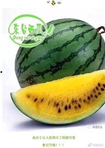 大人请吃瓜团,揭秘娱乐圈背后的秘密与真相