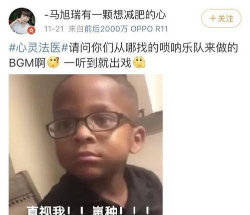 吃瓜音乐bgm,探寻流行音乐的趣味与魅力