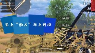 战地记者前线吃瓜,揭秘战地生活的酸甜苦辣