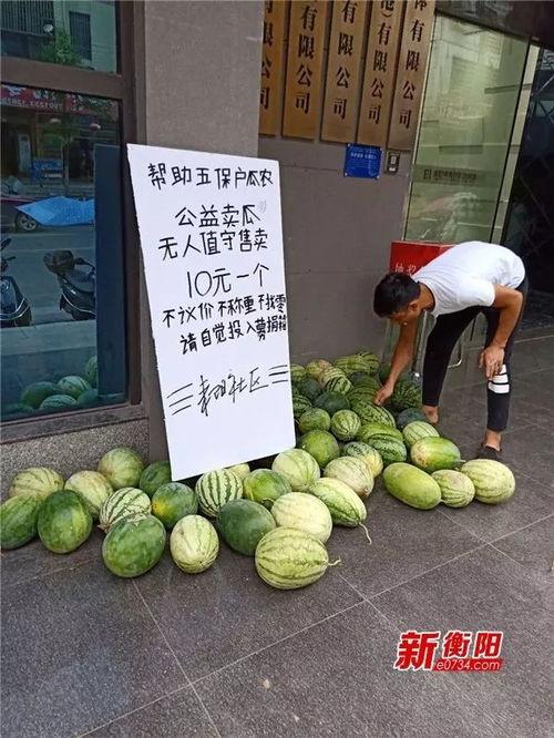 耒阳二中吃瓜,揭秘校园里的热点话题