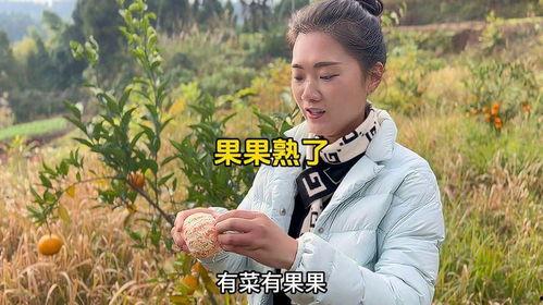 小卿总吃瓜,揭秘娱乐圈那些不为人知的幕后故事