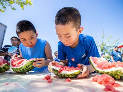 吃瓜热闹,揭秘娱乐圈幕后风云