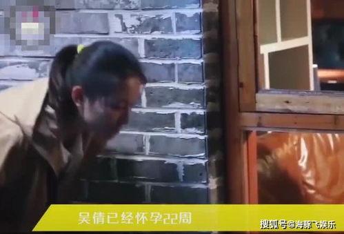 武汉大学吃瓜视频,揭秘校园生活趣味瞬间