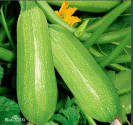 北艺最新吃瓜新闻,最新吃瓜新闻揭秘校园秘闻