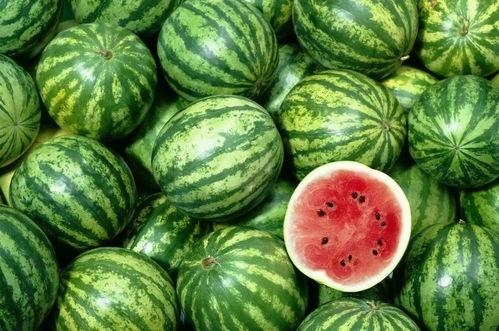 北艺最新吃瓜新闻,最新吃瓜新闻揭秘校园秘闻