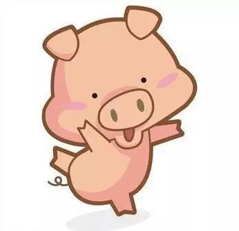 小猪吃瓜没吃饱,探索美食之旅