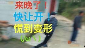 吃瓜群众小日常,揭秘娱乐圈幕后故事