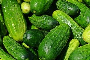 梦见吃瓜燥热,吃瓜燥热背后的神秘启示