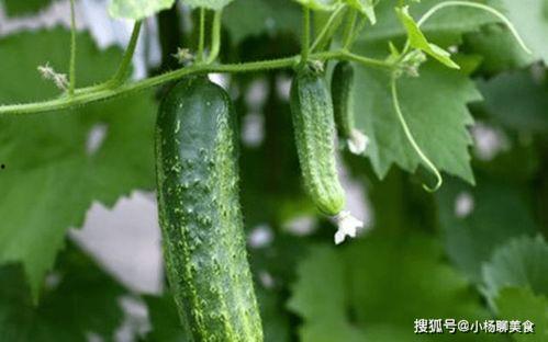 今日吃瓜推荐官,揭秘娱乐圈最新热点事件