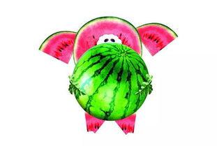 吃瓜萌主山西,带你领略三晋美食文化