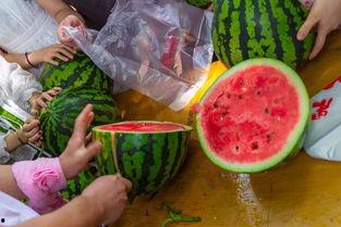 在家吃瓜的视频,揭秘热门吃瓜视频背后的欢乐时光