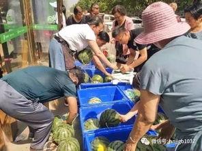 文安大城吃瓜事件,一场引发热议的网络狂欢