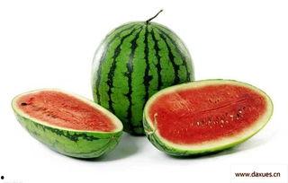 一颗瓜挂几个瓜合适吃,美味共享新体验