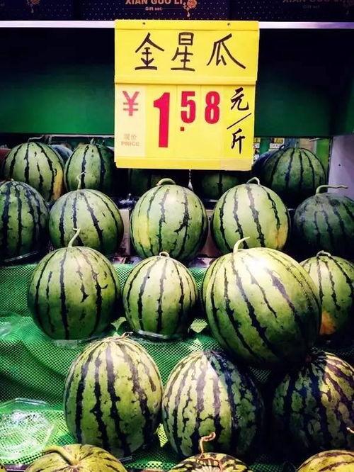 糖果吃瓜种西瓜,种出甜蜜西瓜之旅