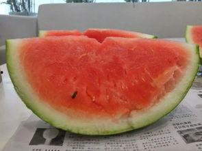 糖果吃瓜种西瓜,种出甜蜜西瓜之旅