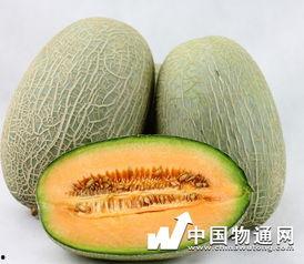 牛肉和哈密瓜一起吃吗,营养互补的美食探索