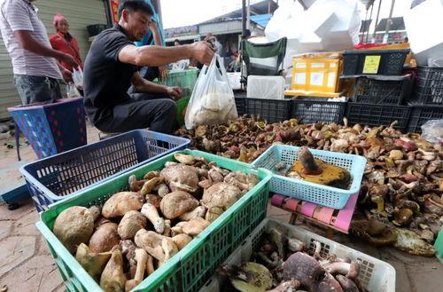 滨州吃瓜中毒案件,揭秘夏日美食背后的安全隐患