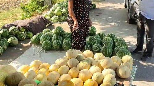 路边免费吃瓜,夏日炎炎解暑新风尚