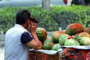 路边免费吃瓜,夏日炎炎解暑新风尚
