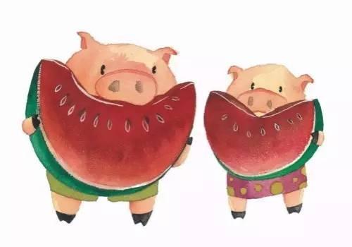 猪吃瓜动画,趣味横生的动画盛宴