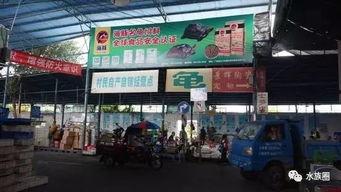 广州天河吃瓜群