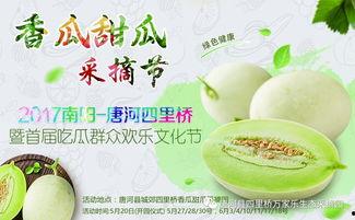 南阳吃瓜,探寻当地特色美食之旅