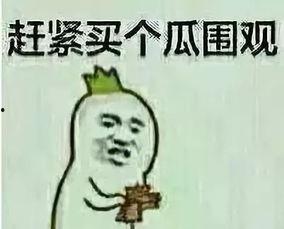 8023吃瓜群众,揭秘网络热议背后的真相与笑料