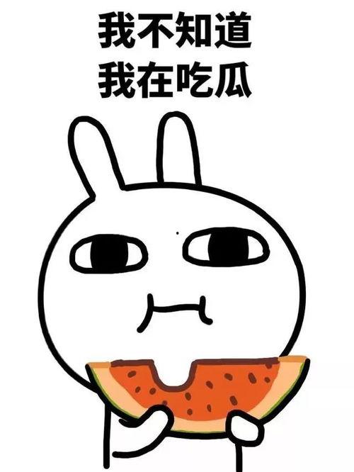 吃瓜很激动