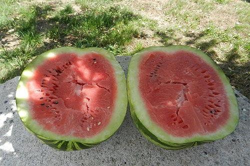 梦见吃黄色的瓜,探寻黄色瓜果的神秘寓意