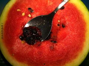 带你吃瓜奇葩灯泡,带你走进“带你吃瓜”的奇幻世界