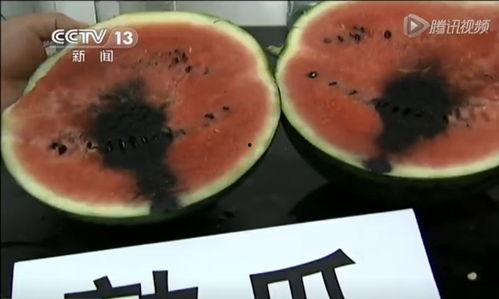 没有地方吃瓜,揭秘无瓜之地