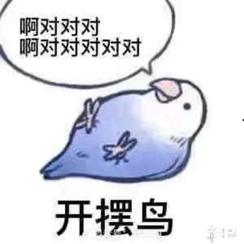 吃瓜吃到睡不着,揭秘那些让人熬夜的八卦秘闻