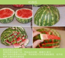 吃瓜弄梗,揭秘网络梗背后的趣味与智慧