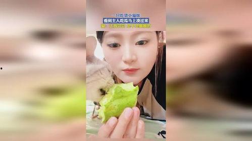 君小良吃货吃瓜,一场美食与娱乐的盛宴之旅