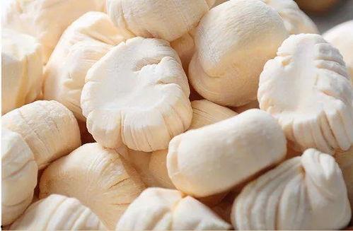 糖糖糖瓜吃瓜,糖糖瓜瓜吃瓜趣事多