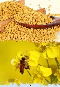 黄守瓜吃花粉吗怎么吃,揭秘花粉的食用之道