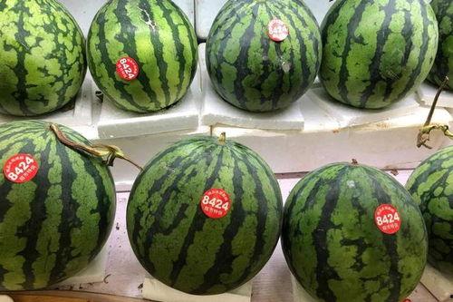 7吃瓜,7吃瓜带你领略明星幕后故事