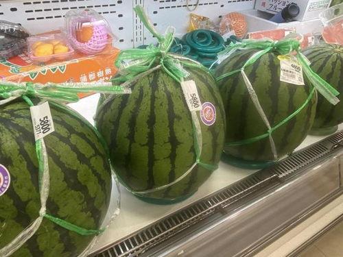 7吃瓜,7吃瓜带你领略明星幕后故事