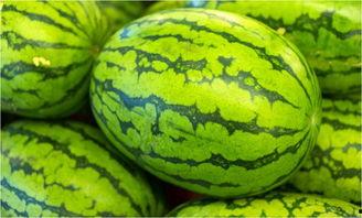 7吃瓜,7吃瓜带你领略明星幕后故事