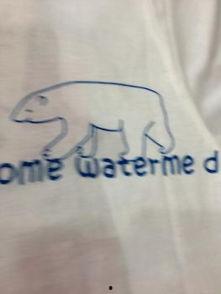 吃瓜小熊叠纸,叠纸游戏中的趣味冒险之旅