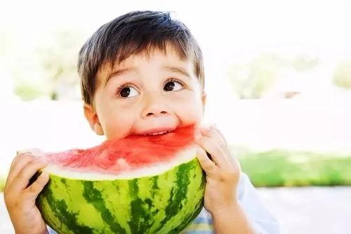 瓜哥带你吃瓜节奏盒子,揭秘美食背后的故事