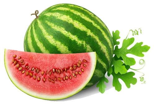 瓜哥带你吃瓜节奏盒子,揭秘美食背后的故事