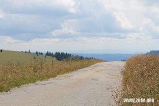梦见在田地摘瓜吃瓜