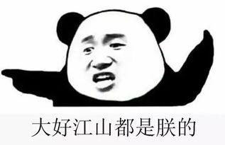 有没有啥吃瓜群,揭秘网络社交中的“瓜田”现象