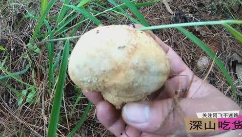 深山吃货土瓜,土瓜美食探秘之旅