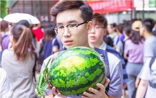 吃大瓜学校,探寻校园里的美食传奇