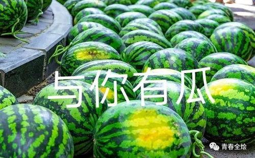 吃大瓜学校,探寻校园里的美食传奇