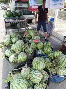 东洲新村吃瓜事件